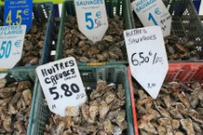 Austernmarkt in Cancale